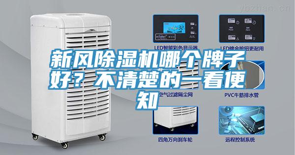 新風草莓污视频在线看哪個牌子好？不清楚的一看便知