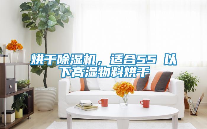 烘幹草莓污视频在线看，適合55℃以下高濕物料烘幹