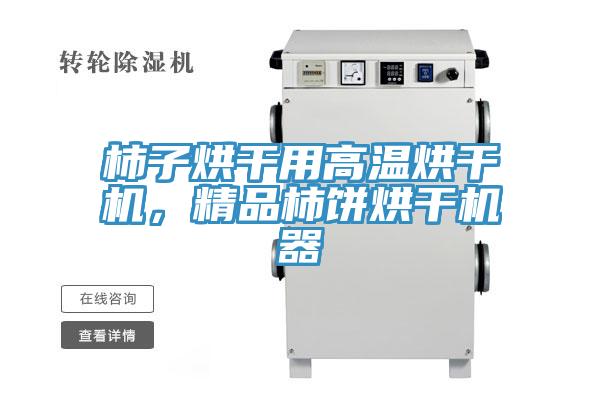 柿子烘幹用高溫烘幹機，精品柿餅烘幹機器