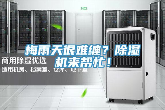 梅雨天很難纏？草莓污视频在线看來幫忙！