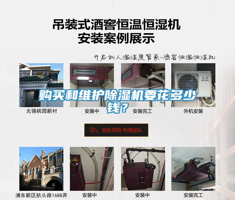 購買和維護草莓污视频在线看要花多少錢？