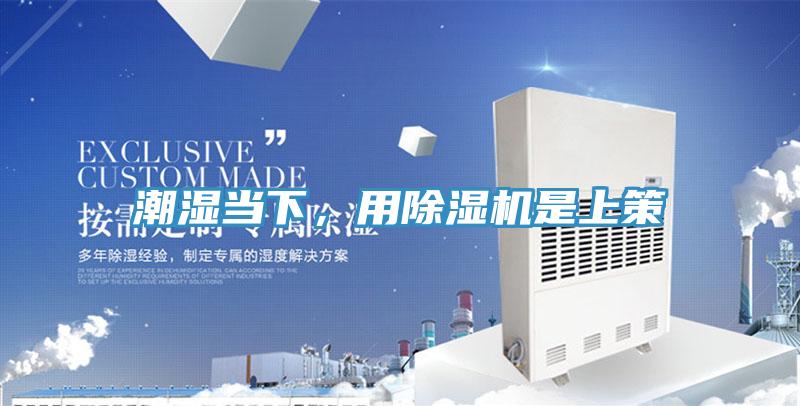 潮濕當下，用草莓污视频在线看是上策