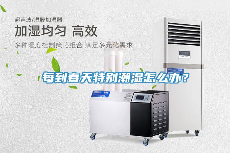 每到春天特別潮濕怎麽辦？