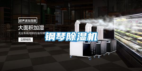 鋼琴草莓污视频在线看