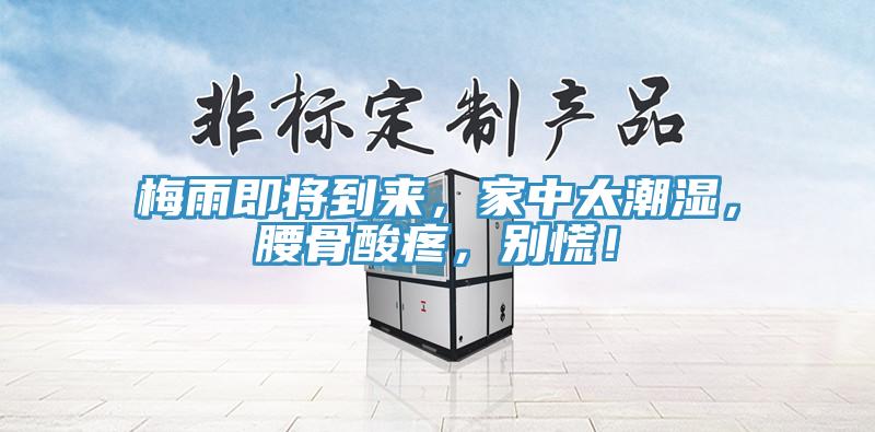 梅雨即將到來，家中太潮濕，腰骨酸疼，別慌！