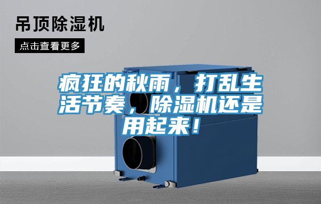瘋狂的秋雨，打亂生活節奏，草莓污视频在线看還是用起來！
