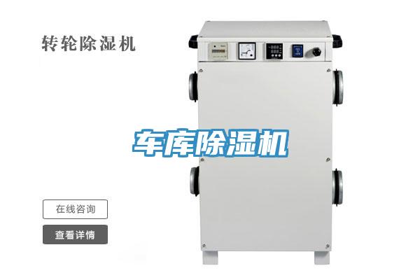 車庫草莓污视频在线看