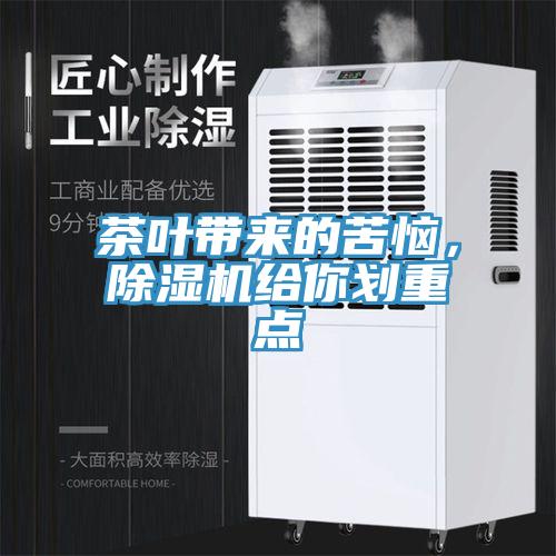 茶葉帶來的苦惱，草莓污视频在线看給你劃重點