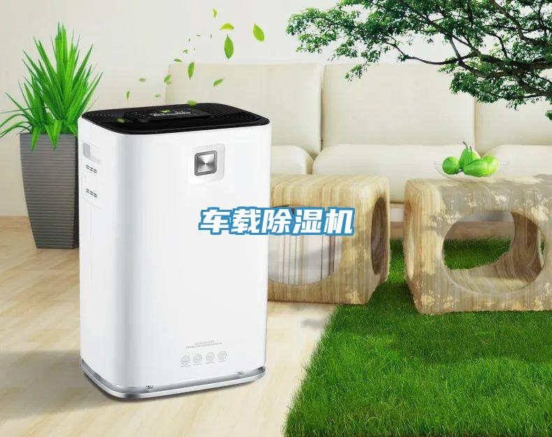 車載草莓污视频在线看