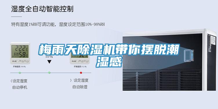 梅雨天草莓污视频在线看帶你擺脫潮濕感