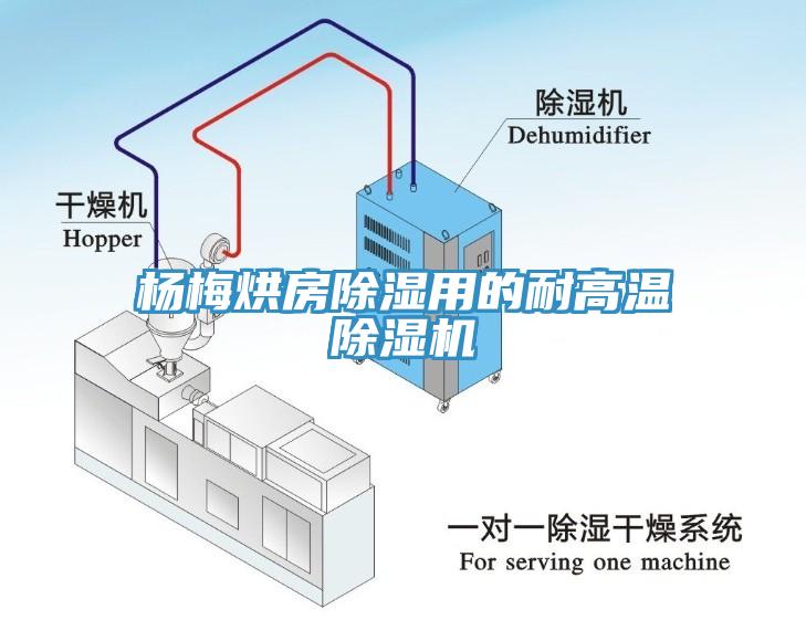 楊梅烘房除濕用的耐高溫草莓污视频在线看