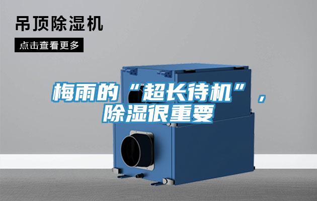 梅雨的“超長待機”，除濕很重要