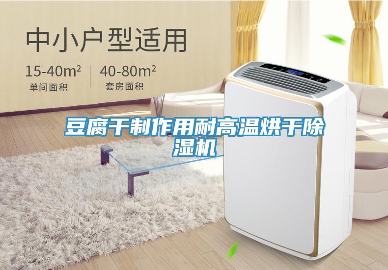 豆腐幹製作用耐高溫烘幹草莓污视频在线看