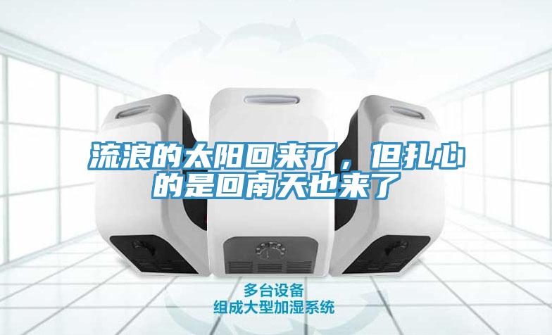 流浪的太陽回來了，但紮心的是回南天也來了