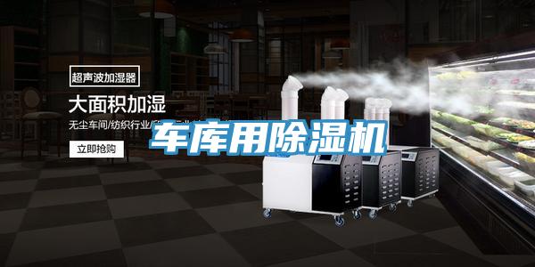 車庫用草莓污视频在线看