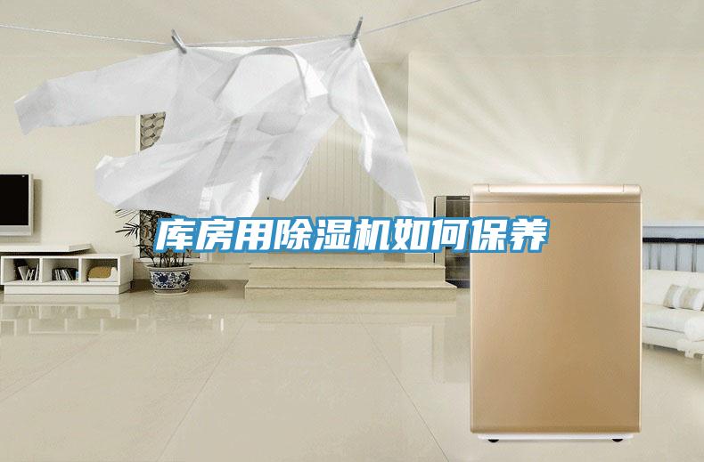 庫房用草莓污视频在线看如何保養