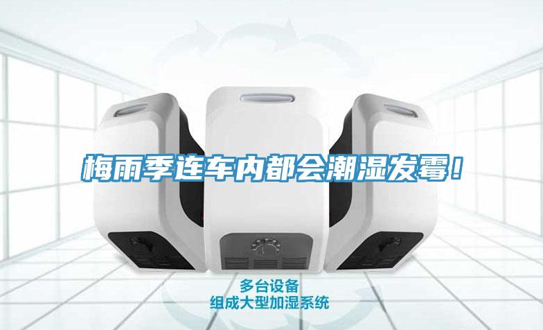 梅雨季連車內都會潮濕發黴！