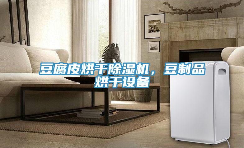豆腐皮烘幹草莓污视频在线看，豆製品烘幹設備