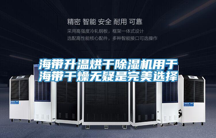 海帶升溫烘幹草莓污视频在线看用於海帶幹燥無疑是完美選擇