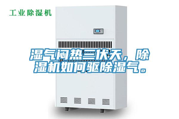 濕氣悶熱三伏天，草莓污视频在线看如何驅除濕氣。