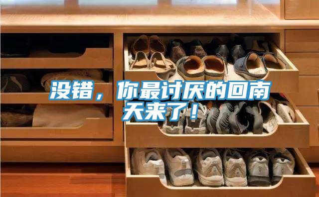 沒錯，你最討厭的回南天來了！