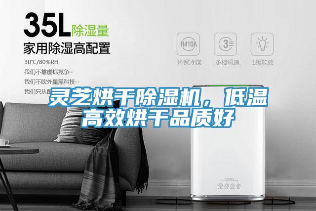 靈芝烘幹草莓污视频在线看，低溫高效烘幹品質好