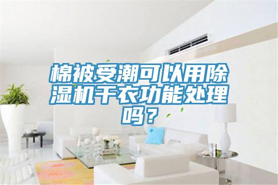 棉被受潮可以用草莓污视频在线看幹衣功能處理嗎？