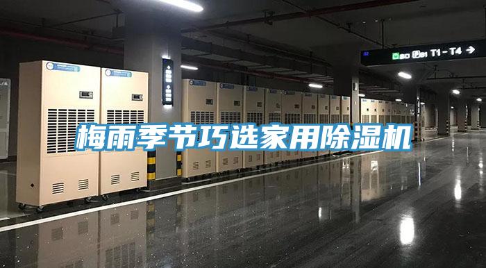 梅雨季節巧選家用草莓污视频在线看