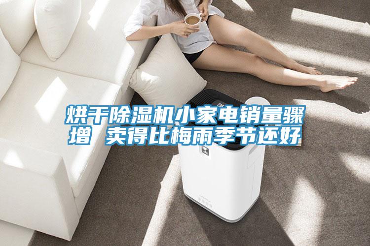 烘幹草莓污视频在线看小家電銷量驟增 賣得比梅雨季節還好