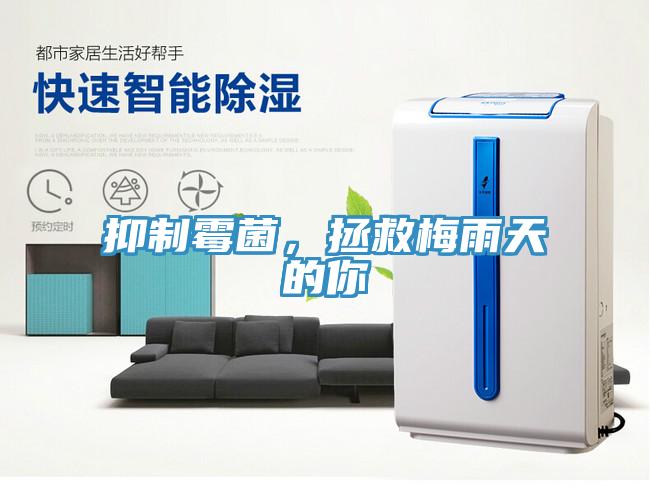 抑製黴菌，拯救梅雨天的你