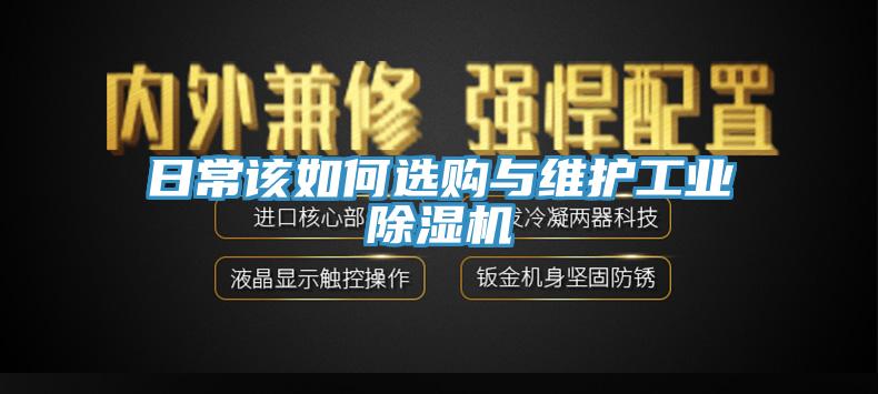 日常該如何選購與維護工業草莓污视频在线看