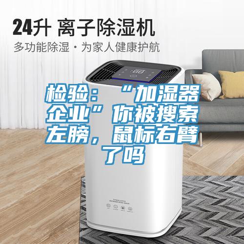 檢驗：“加濕器企業”你被搜索左膀，鼠標右臂了嗎