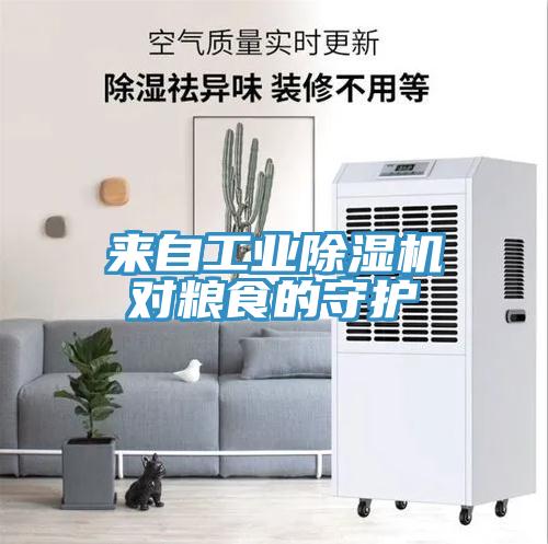 來自工業草莓污视频在线看對糧食的守護