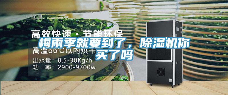 梅雨季就要到了，草莓污视频在线看你買了嗎