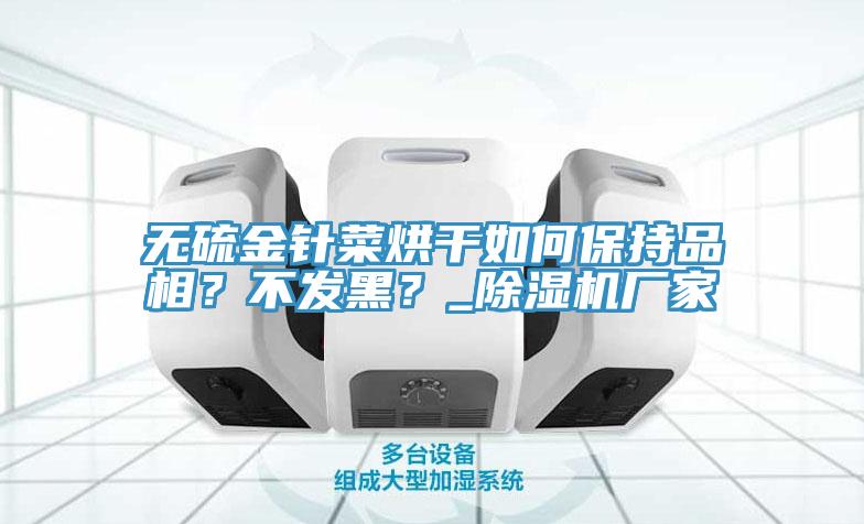 無硫金針菜烘幹如何保持品相？不發黑？_草莓污视频在线看廠家