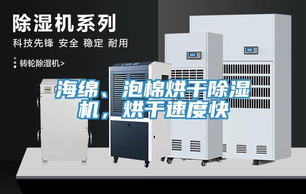 海綿、泡棉烘幹草莓污视频在线看，烘幹速度快