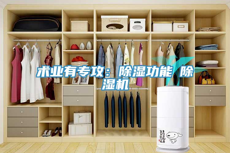 術業有專攻：除濕功能≠草莓污视频在线看
