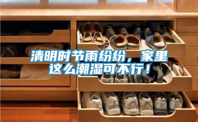 清明時節雨紛紛，家裏這麽潮濕可不行！