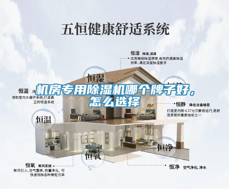 機房專用草莓污视频在线看哪個牌子好，怎麽選擇