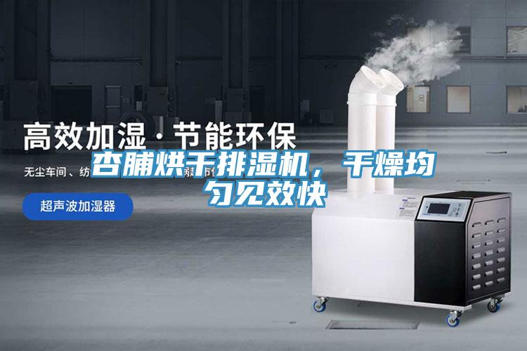 杏脯烘幹排濕機，幹燥均勻見效快
