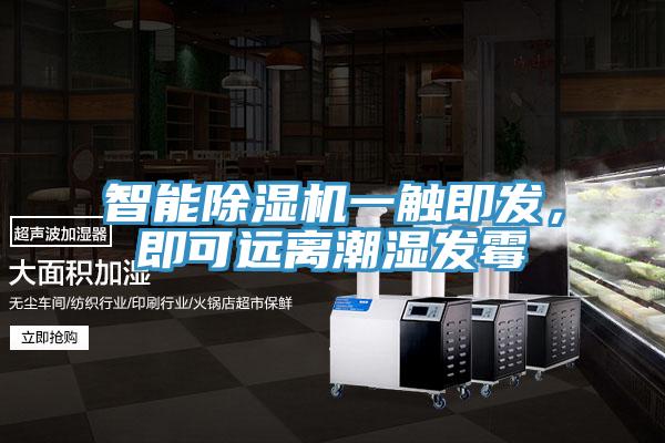 智能草莓污视频在线看一觸即發，即可遠離潮濕發黴