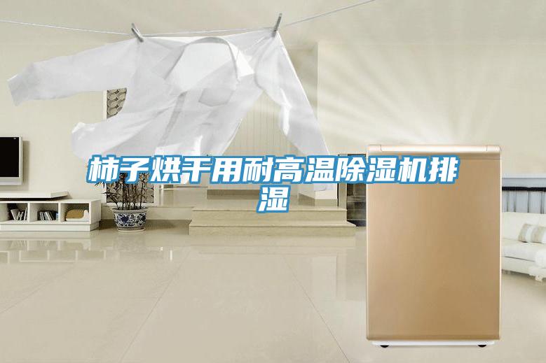 柿子烘幹用耐高溫草莓污视频在线看排濕