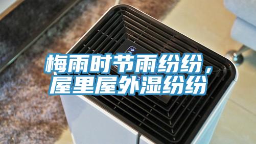 梅雨時節雨紛紛，屋裏屋外濕紛紛