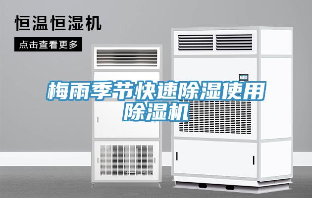 梅雨季節快速除濕使用草莓污视频在线看