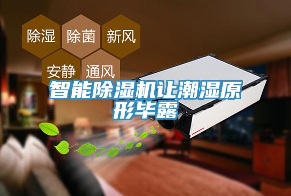 智能草莓污视频在线看讓潮濕原形畢露