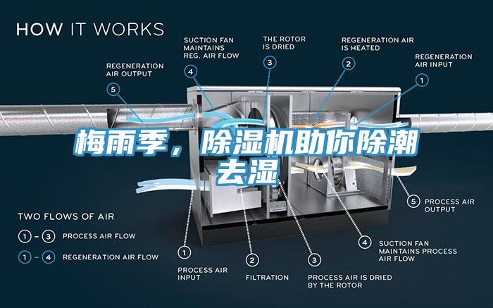 梅雨季，草莓污视频在线看助你除潮去濕