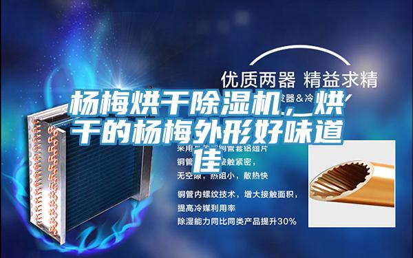 楊梅烘幹草莓污视频在线看，烘幹的楊梅外形好味道佳