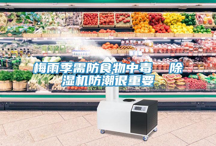 梅雨季需防食物中毒  草莓污视频在线看防潮很重要