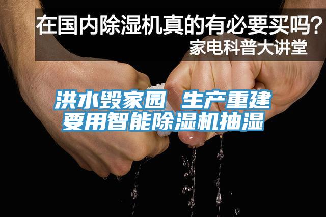 洪水毀家園 生產重建要用智能草莓污视频在线看抽濕