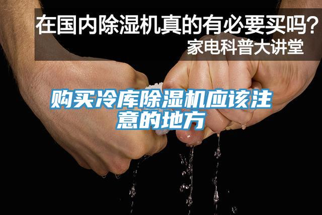 購買冷庫草莓污视频在线看應該注意的地方